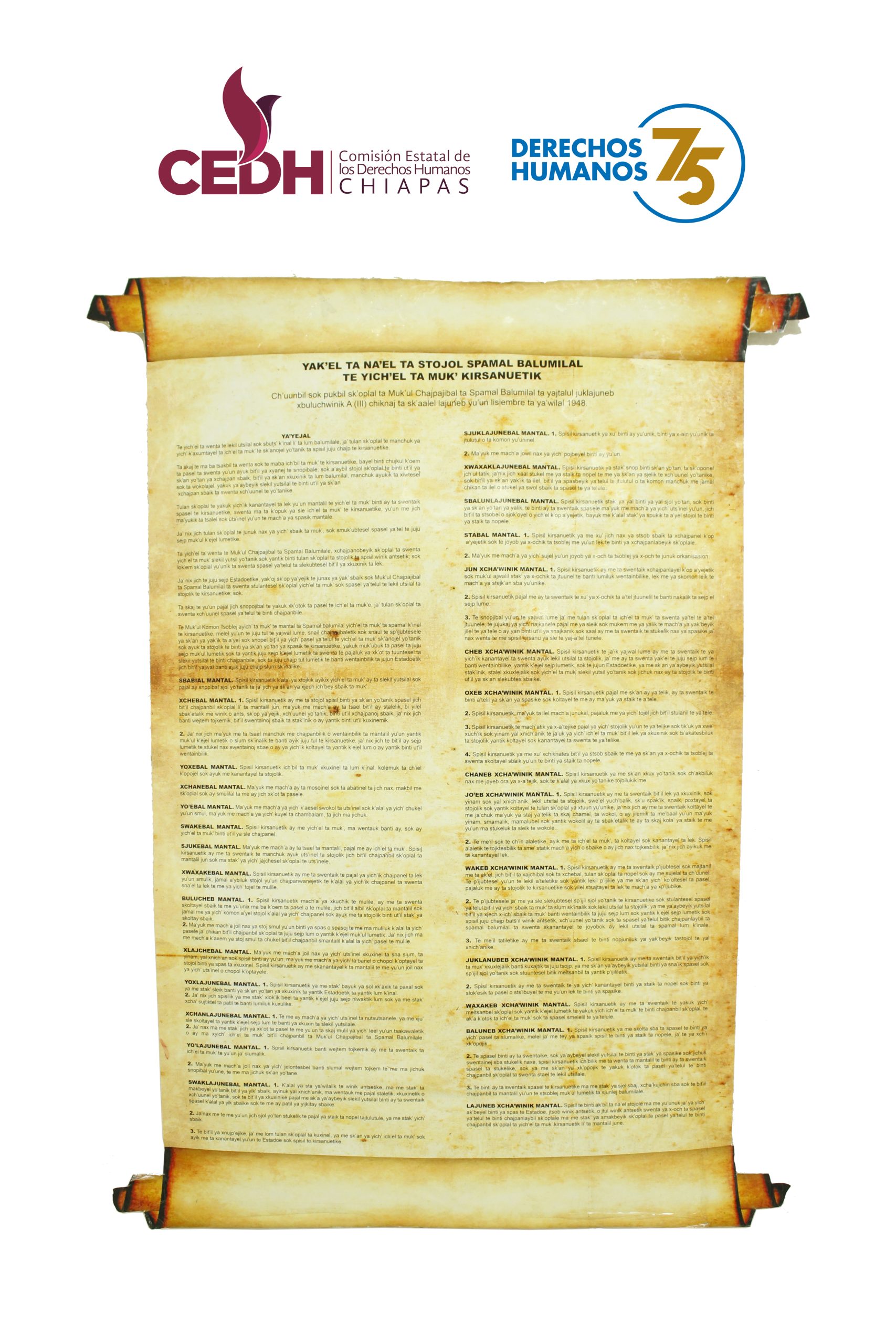 //cedhchiapas.org/cedh/wp-content/uploads/2023/10/Declaracion-tseltal-scaled.jpg