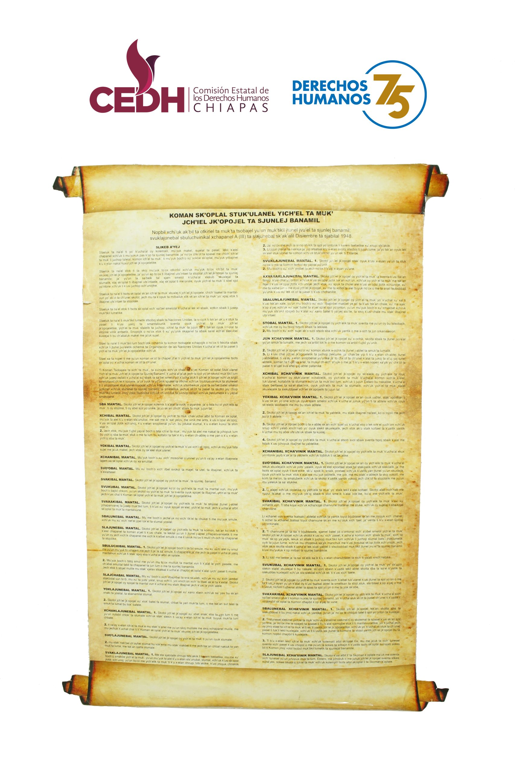 //cedhchiapas.org/cedh/wp-content/uploads/2023/10/Declaraciontsotsil-scaled.jpg