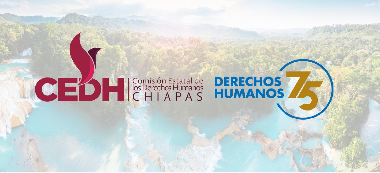 //cedhchiapas.org/cedh/wp-content/uploads/2023/10/boletin-05-DESCA-2023_page-0004.jpg