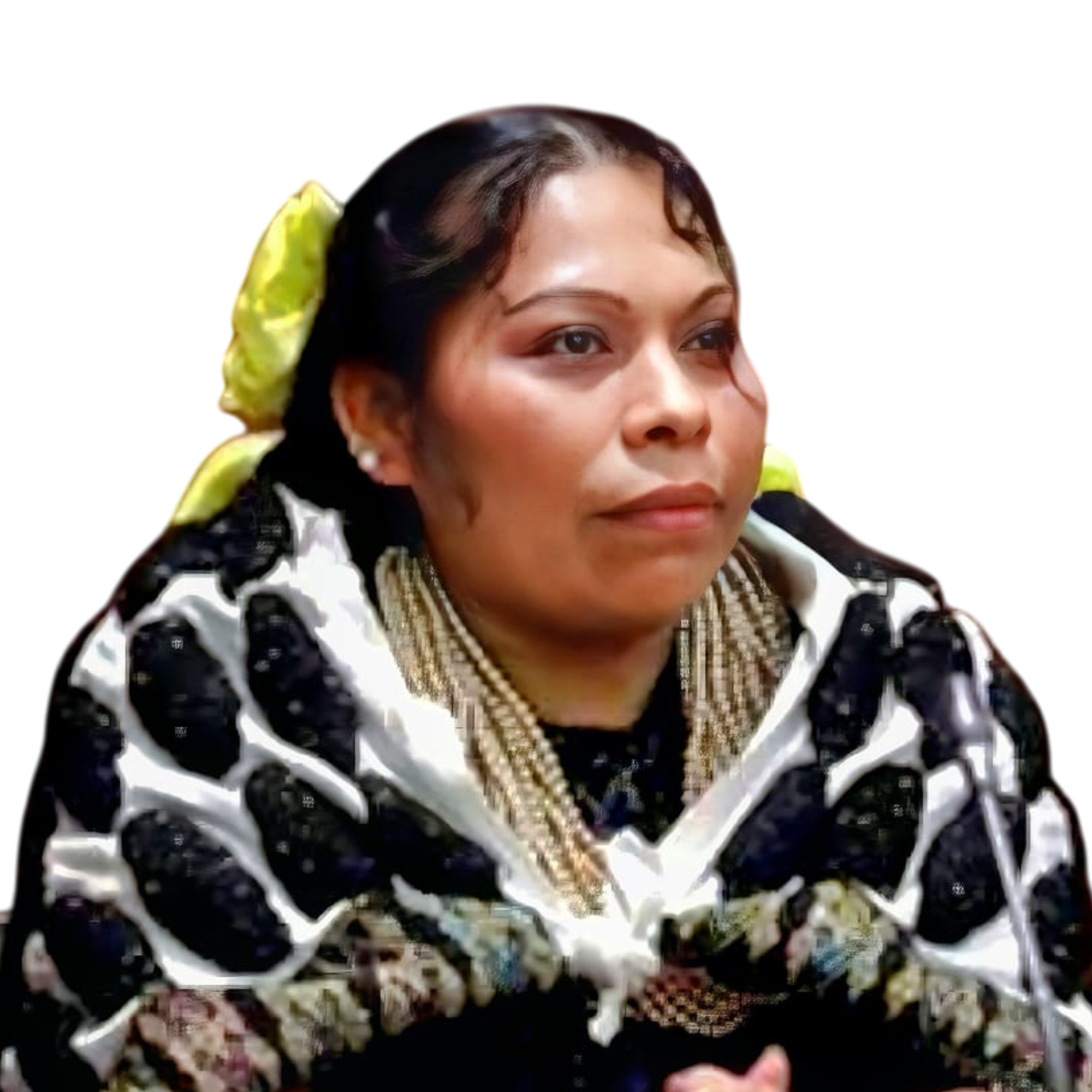 ROSA <br>PÉREZ PÉREZ