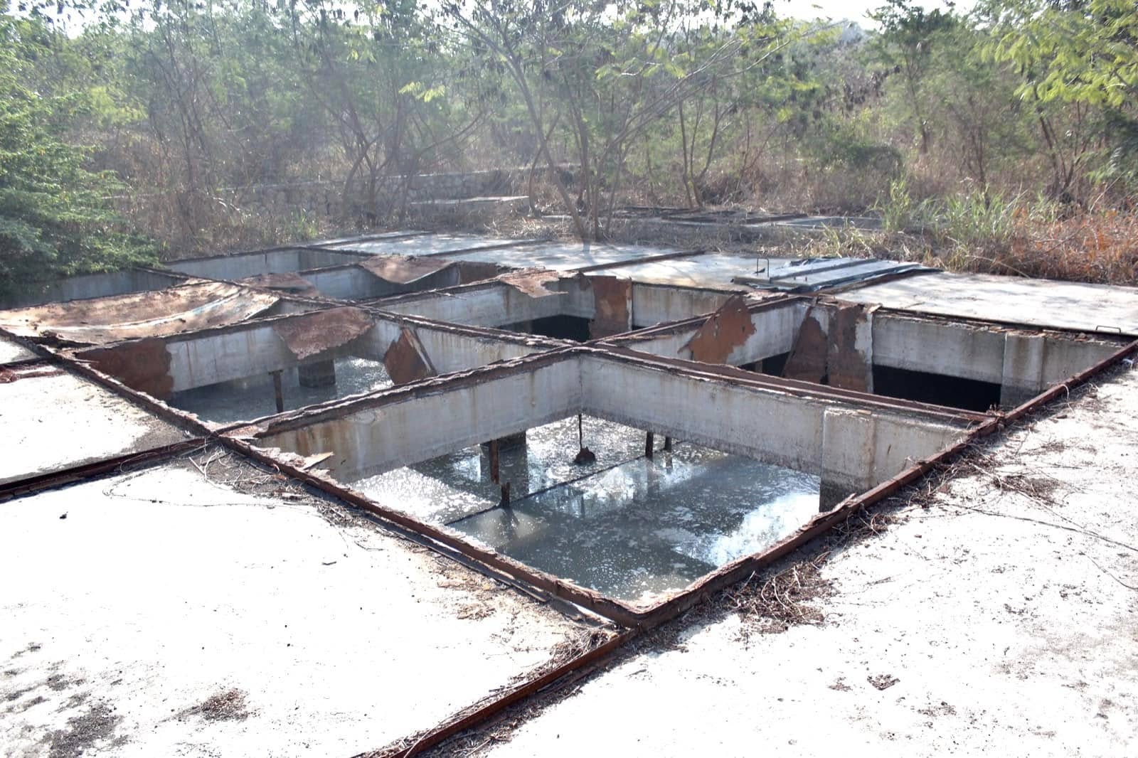 489275528_1062179742612132_418931119473977341_n