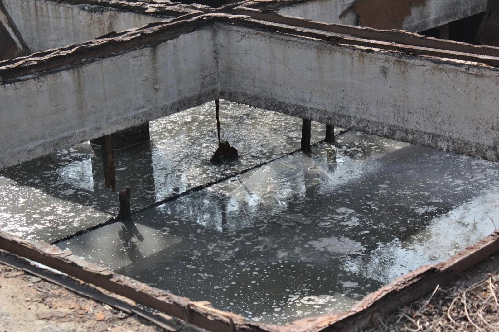 489579118_1062178215945618_1242091376467938869_n