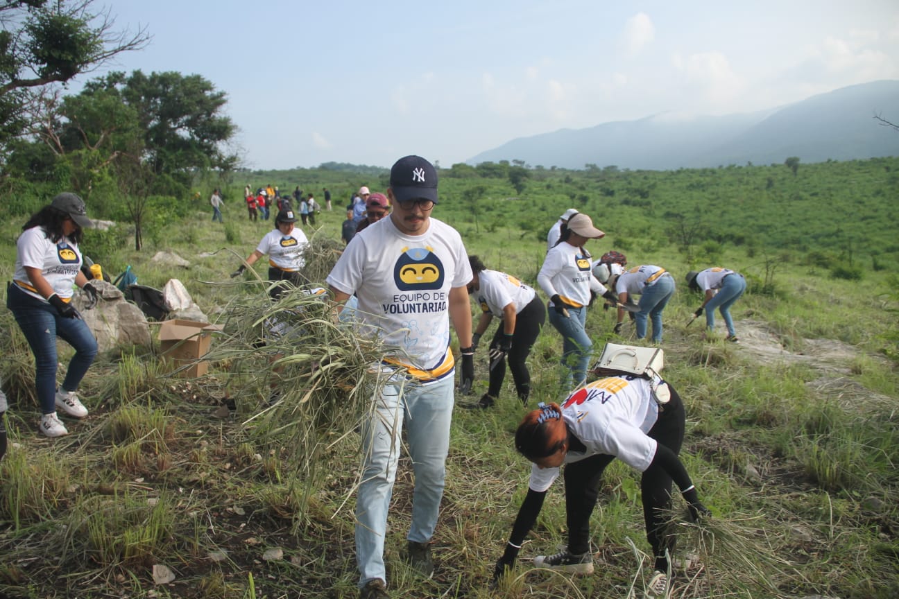 515438825_1138912151605557_3482762344831972188_n