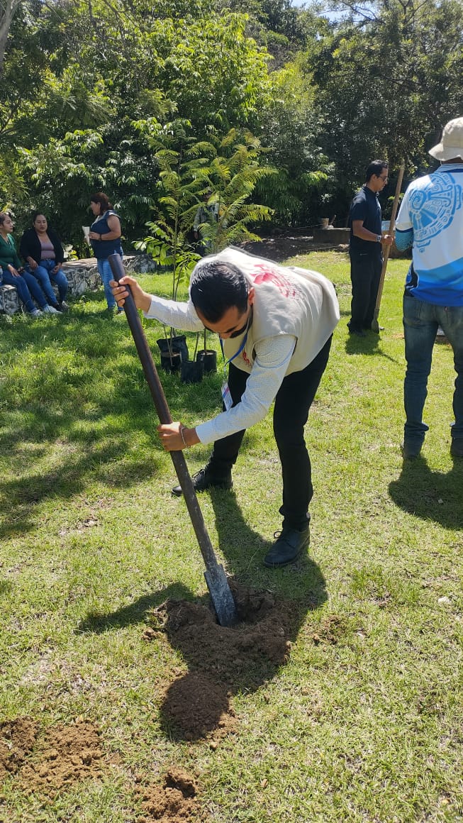 Promueve CEDH cultura de paz y cuidado ambiental en Tzimol con jornada de reforestación