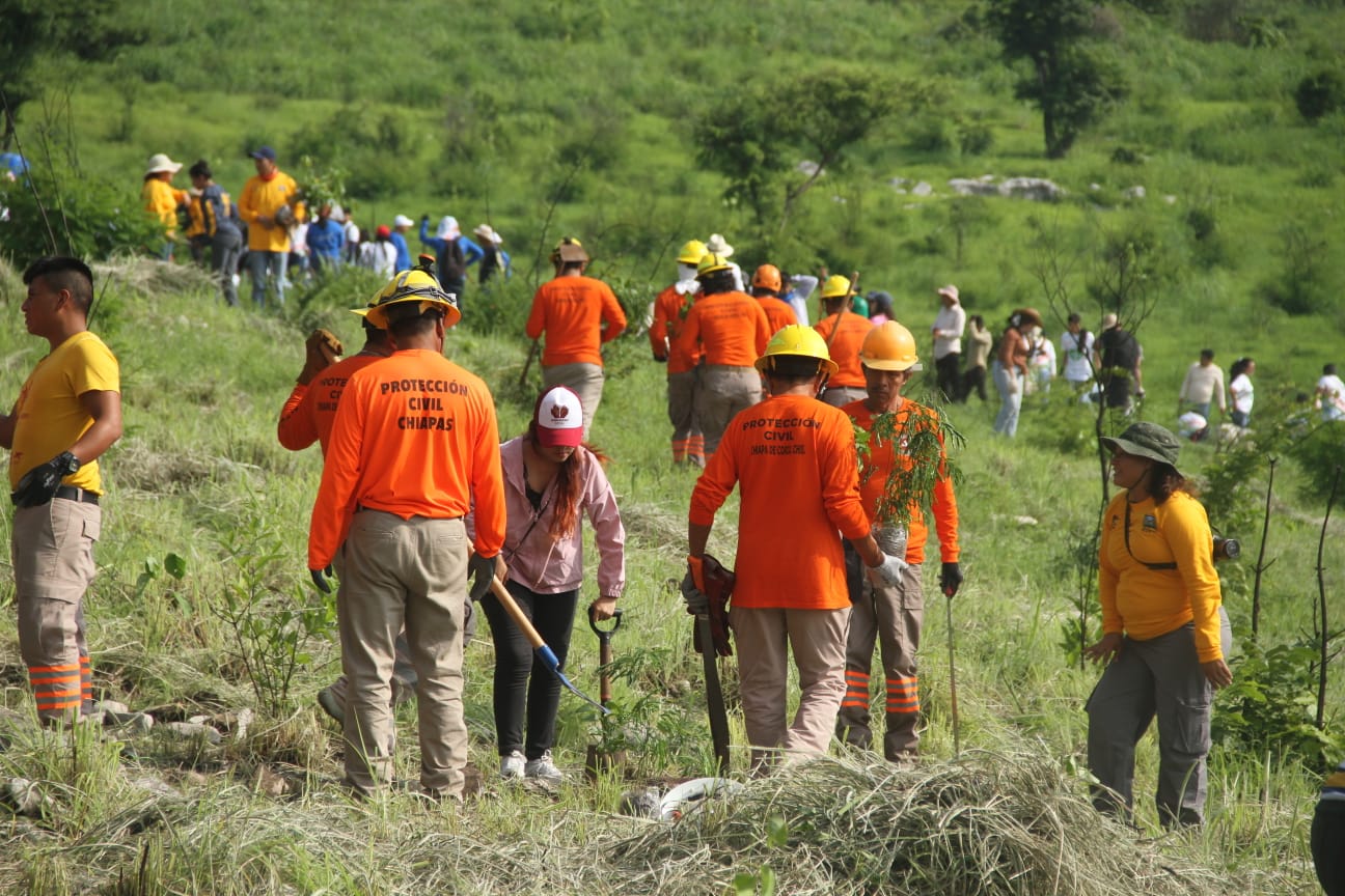 517420014_1138912268272212_6908146212736090560_n