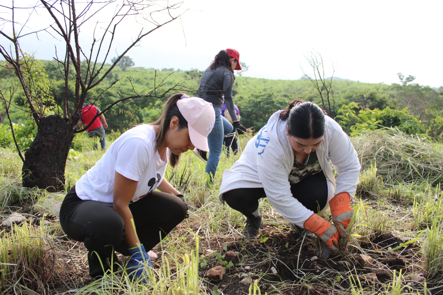 517750204_1138911864938919_6330664389256452364_n