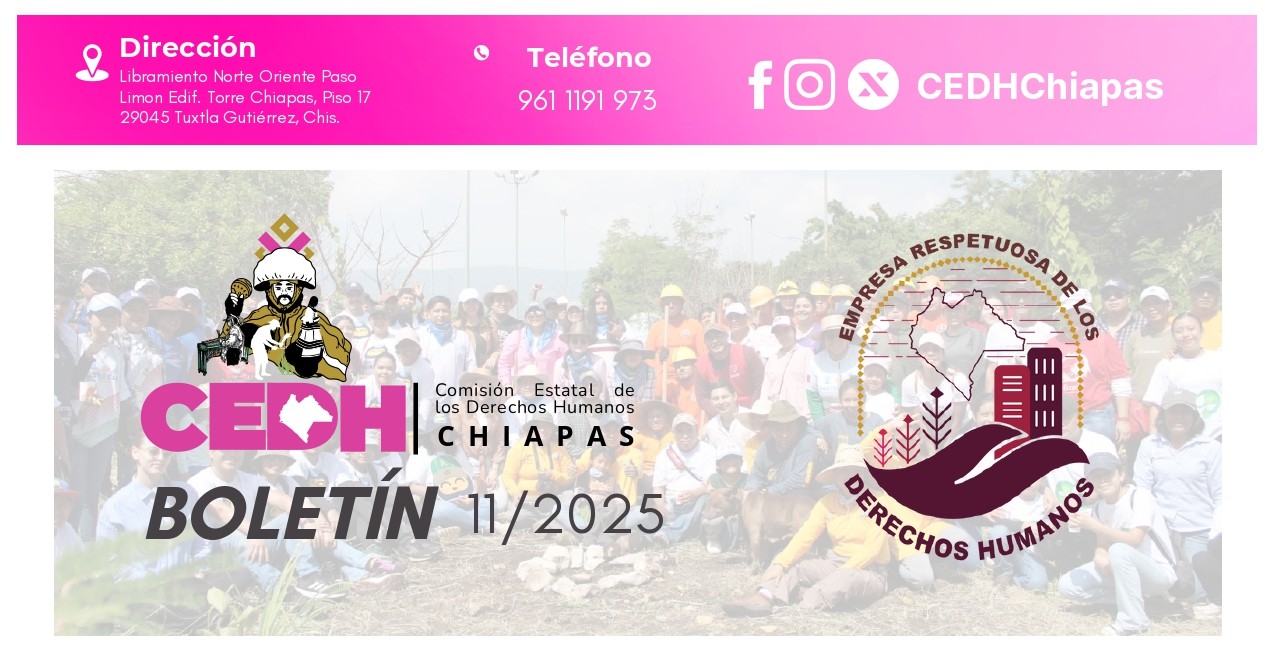 BOLETÍN DESCA 11/2025