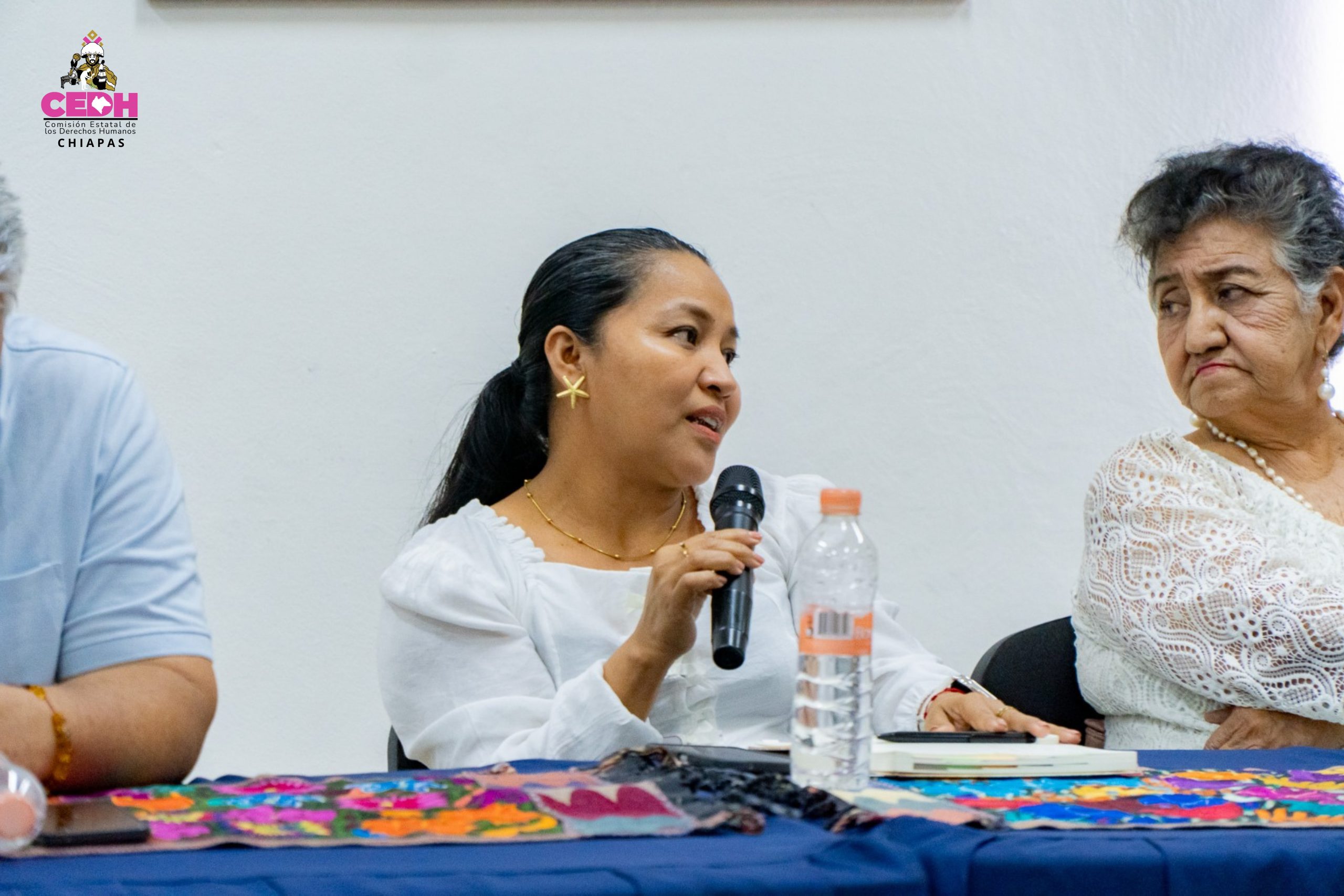 Comisión Estatal de los Derechos Humanos (2)