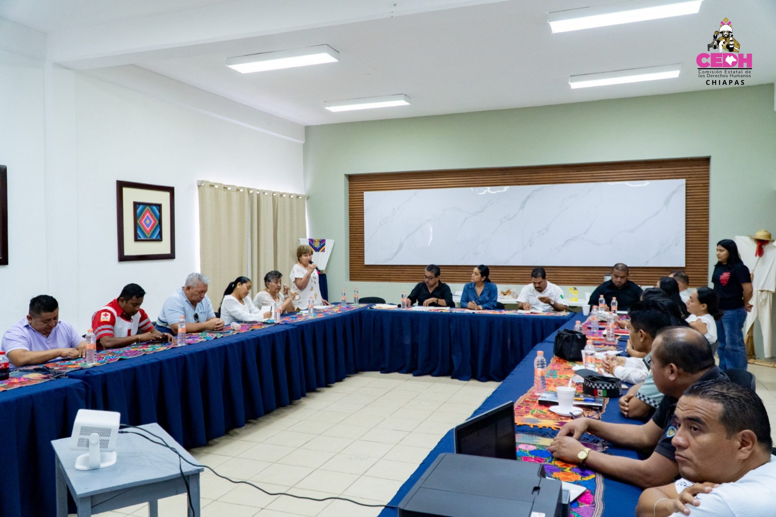 Comisión Estatal de los Derechos Humanos (3)