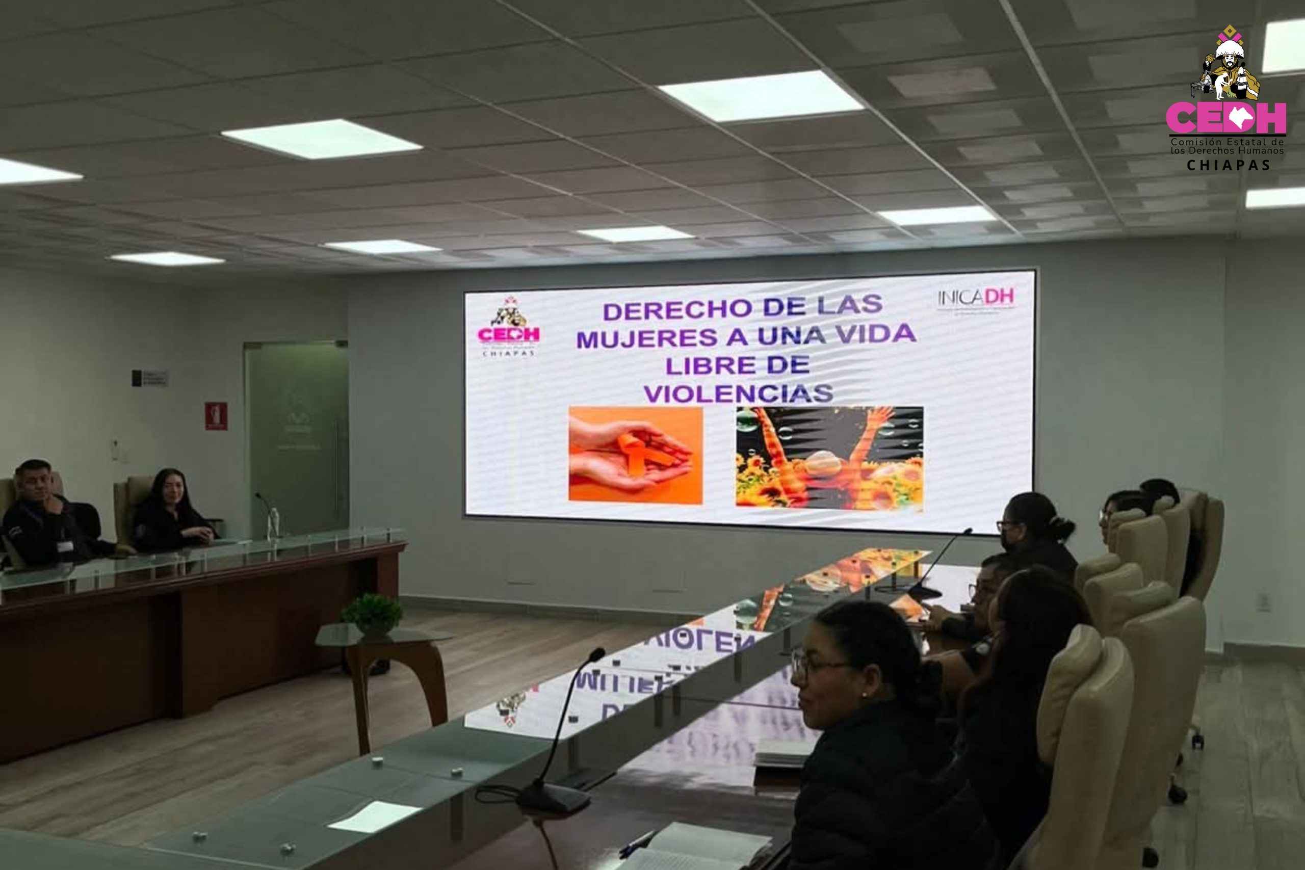 CEDH Chiapas Tamaño 6000x4000 (18)